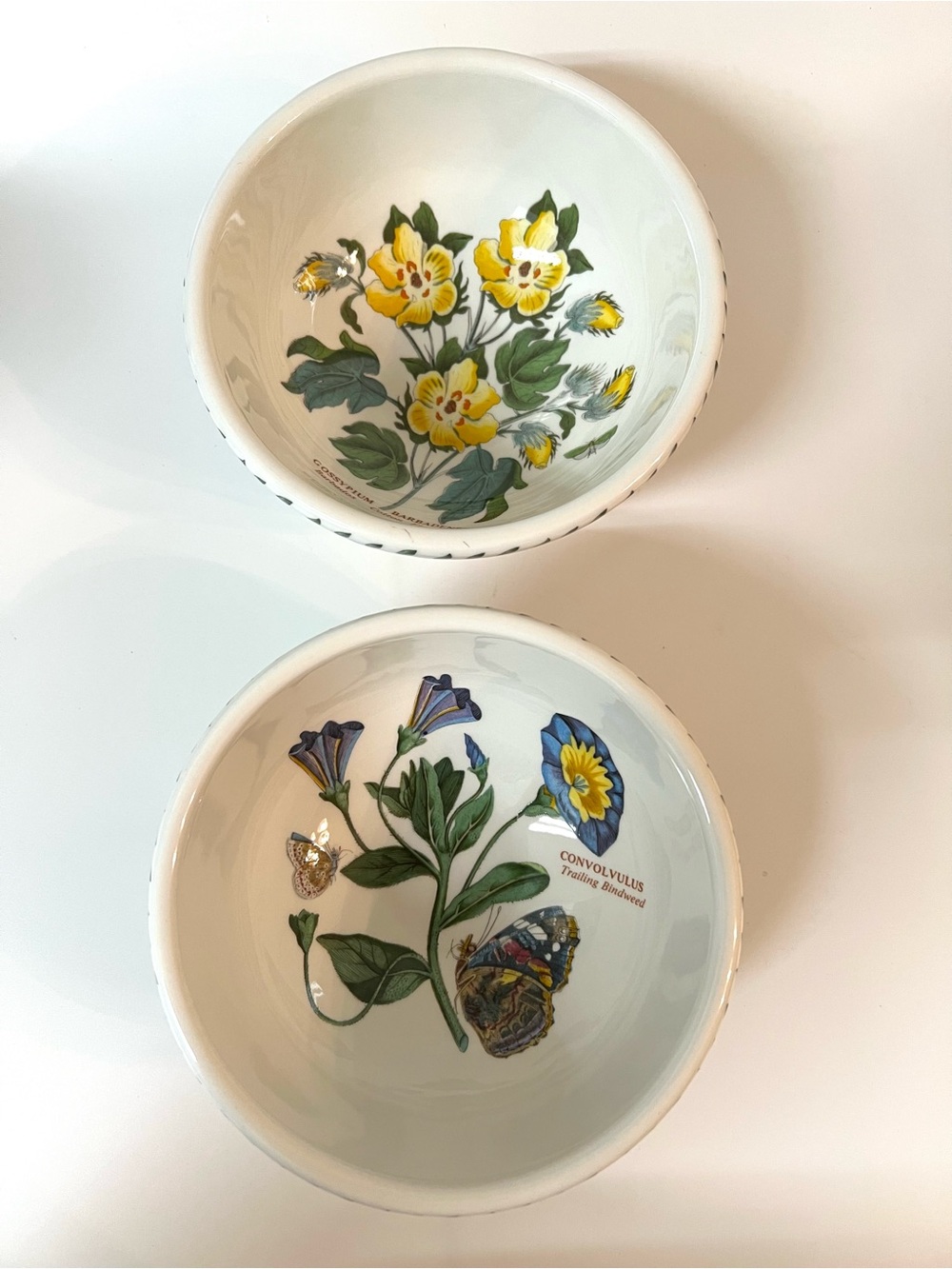 Set of 2 Portmeirion The Botanic Garden Bowls Susan Williams Ellis England 5.2"